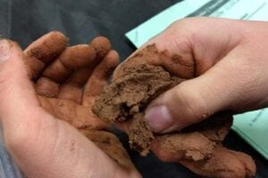 Student examining soil sample