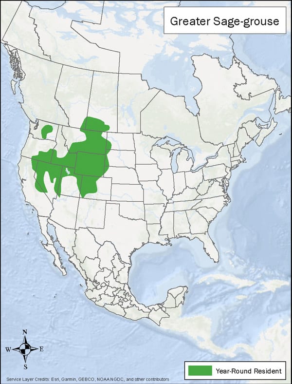 Greater Sage Grouse range map