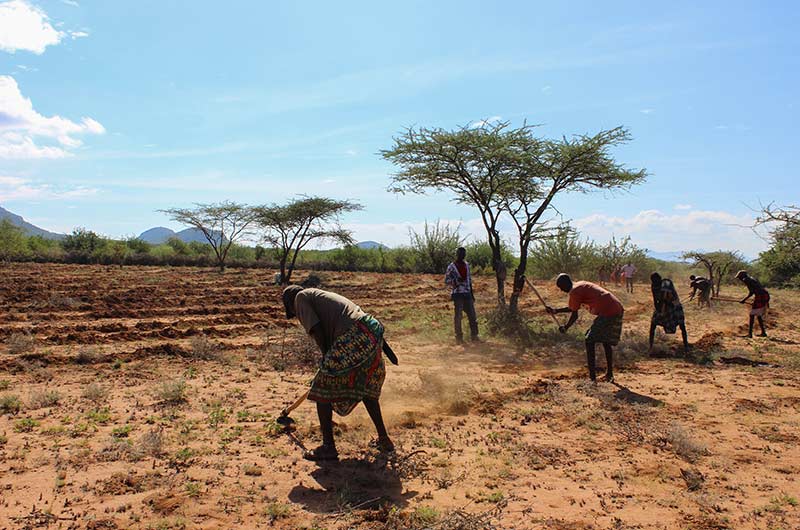 Workers at Lewa Conservancy