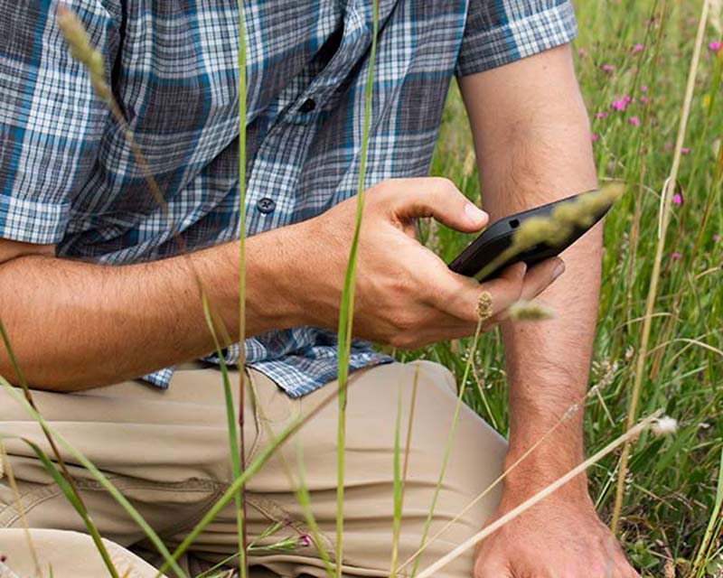 Man using app in the field