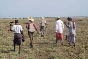 Agricultural workers walking through field