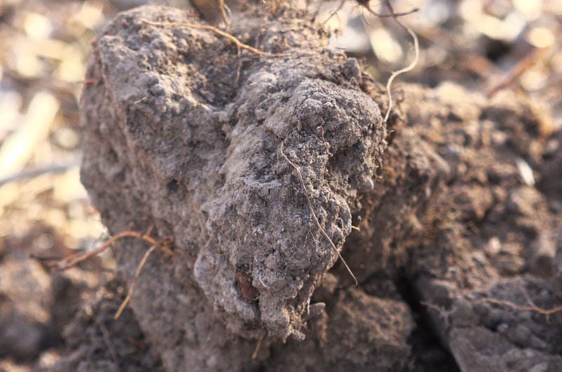 Close up of soil aggregate.