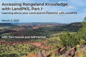 webinar title slide with desert landscape