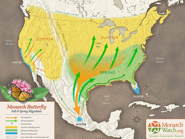 Monarch migration map of North America