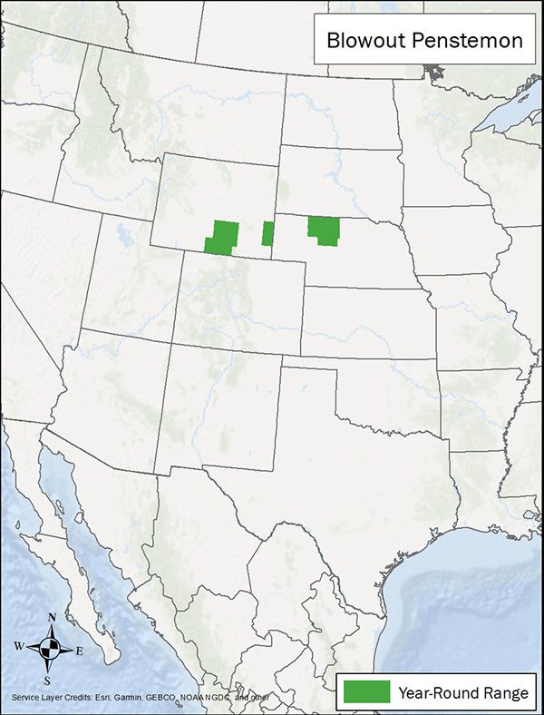 Blowout penstemon range map. Range is small portions of Wyoming and Nebraska.