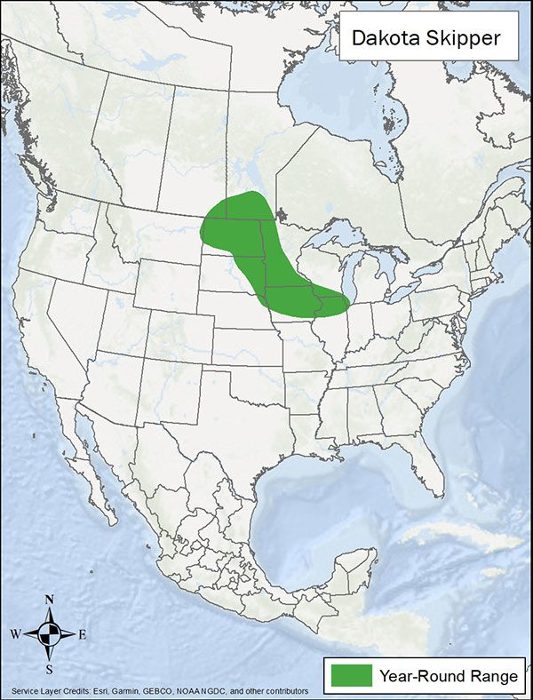Dakota skipper range map. Range is North Dakota, just above into Canada, eastern South Dakota, and through to northern Illinois.