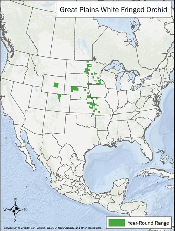 Great plains white fringed orchid range map. Range is spotty in several states in the Great Plains.