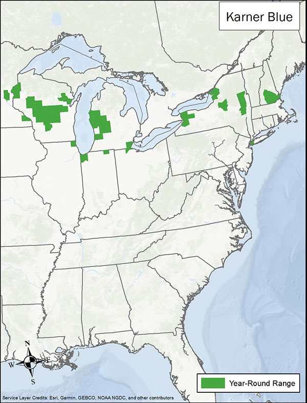 Karner blue range map. Range is spots through northeastern and midwestern US.