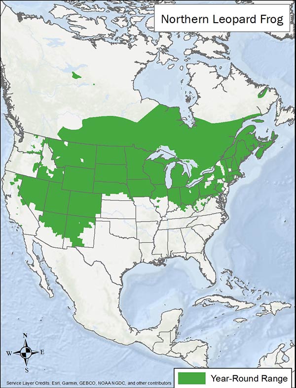 Northern leopard frog range map. Range is eastern Canada, and northern through western US.