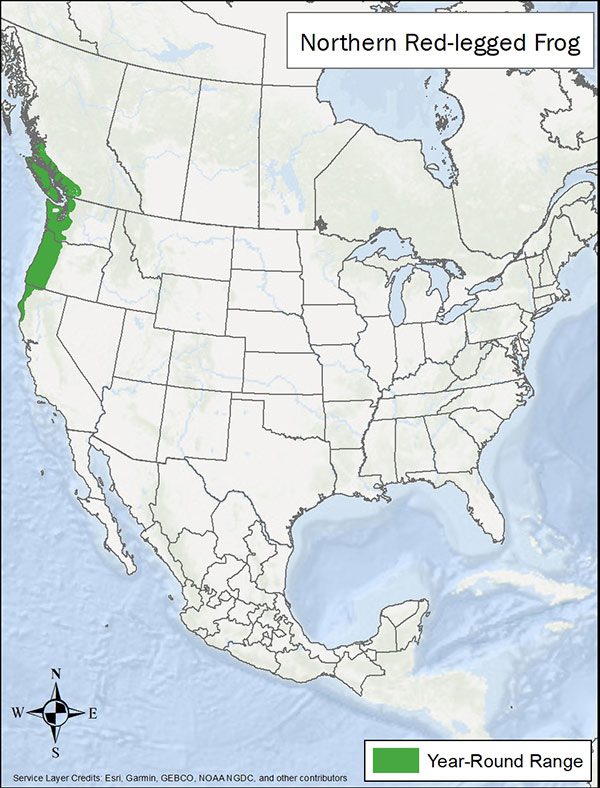 Northern red-legged frog range map. Range is coastal Pacific Northwest US and Canada.