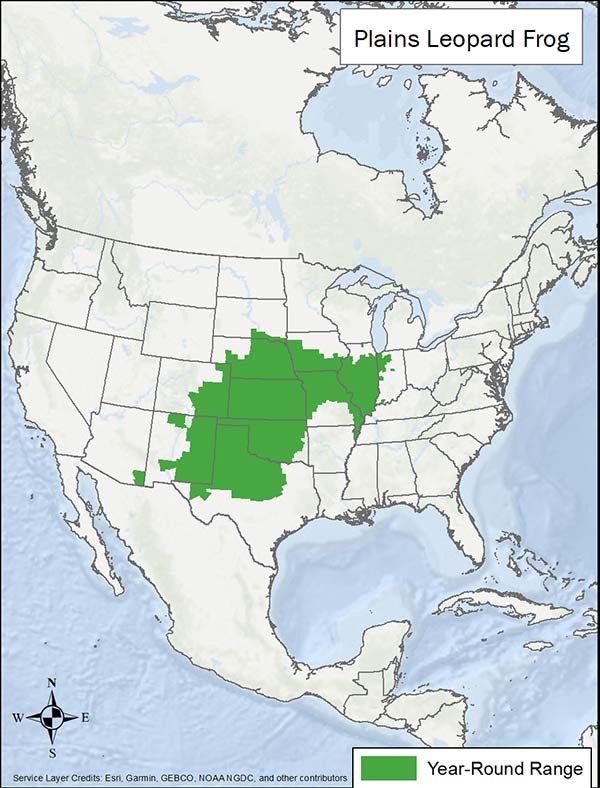 Plains leopard frog range map. Range is much of the central plains US.
