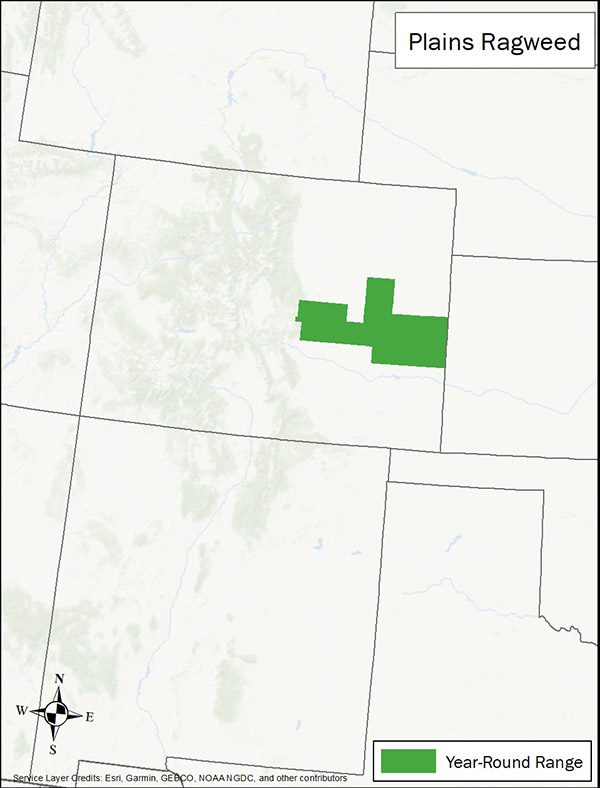 Plains ragweed range map. Range is a small part of eastern Colorado.