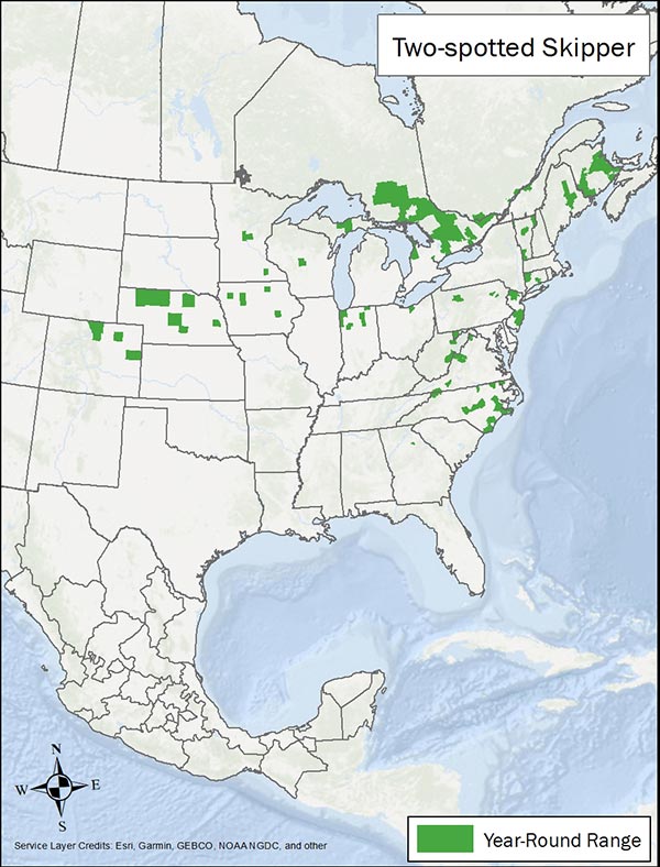 Two-spotted skipper range map. Range is spots throughout central and eastern US and southeastern Canada.