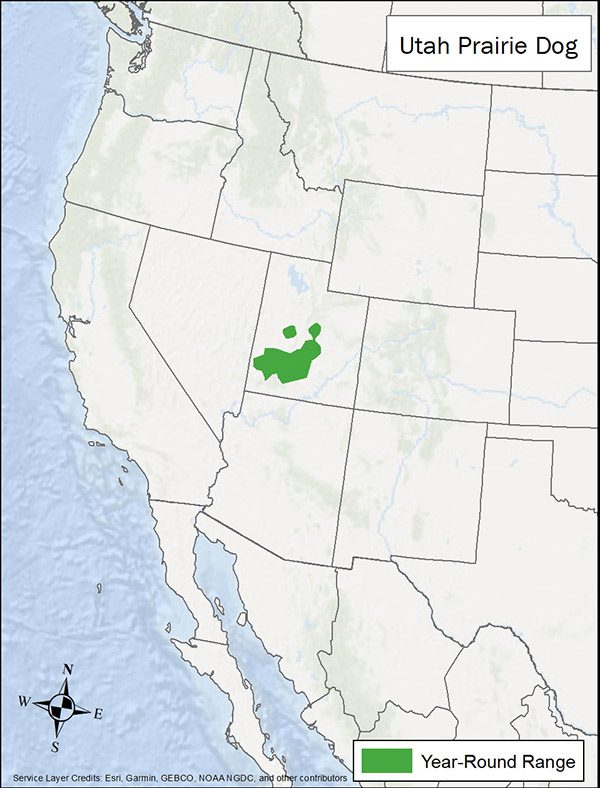 Utah prairie dog range map. Range is portions of Utah.