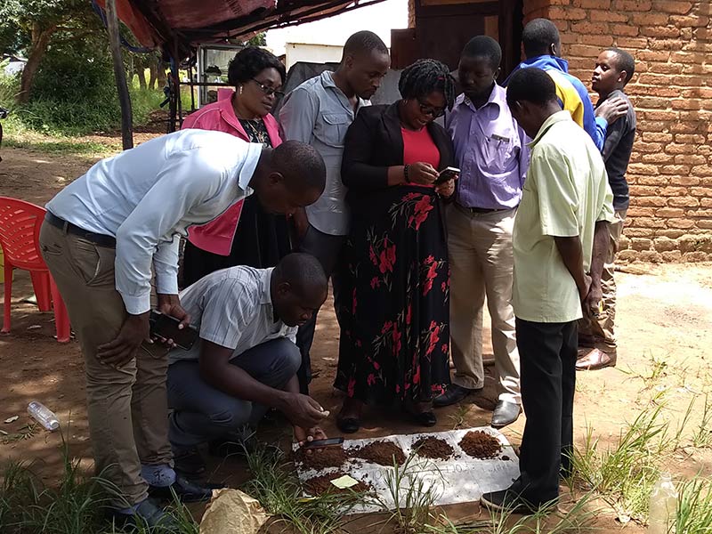 Group of people using LandPKS to evaluate soil samples in Africa