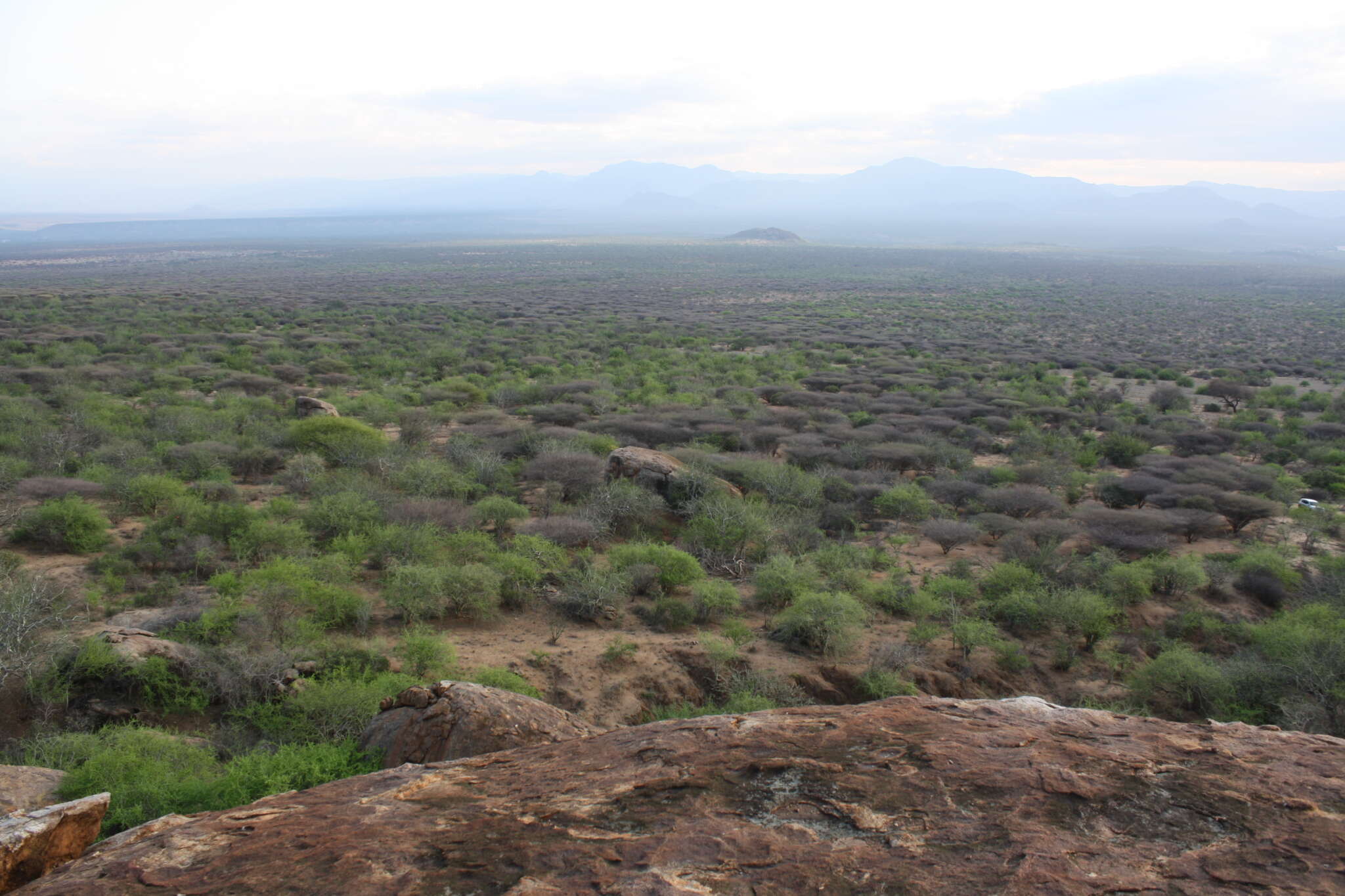a rangeland landscape viewed from elevation