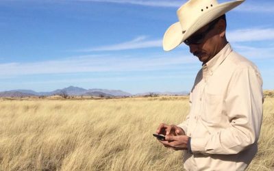 Calling for Usability Testers for LandPKS Soil ID!