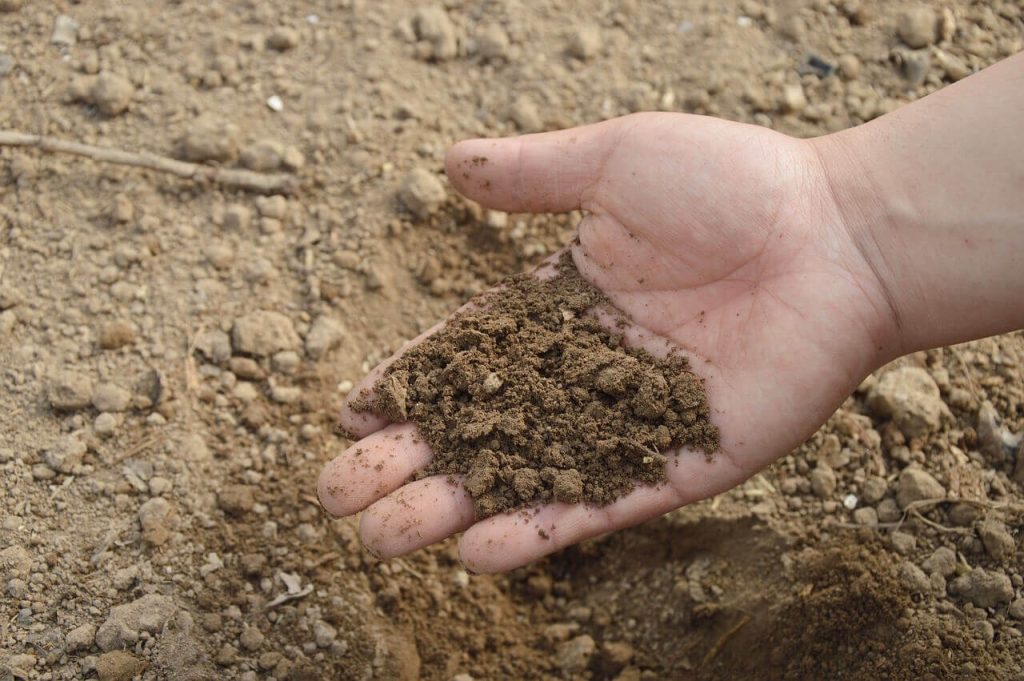 A person's hand holding soil, examining texture and colro Image by Jing from Pixabay