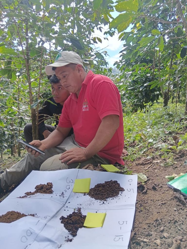 A man reviews a smart phone while conducting a soil color test