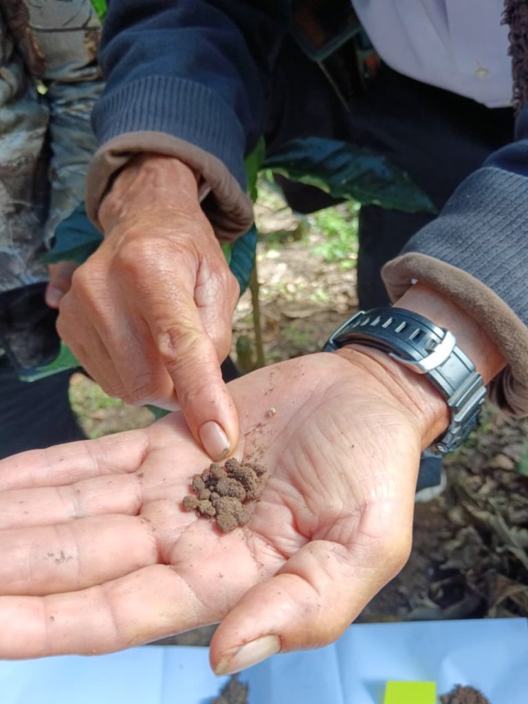 A man inspects fragments of rock in the palm of his hand