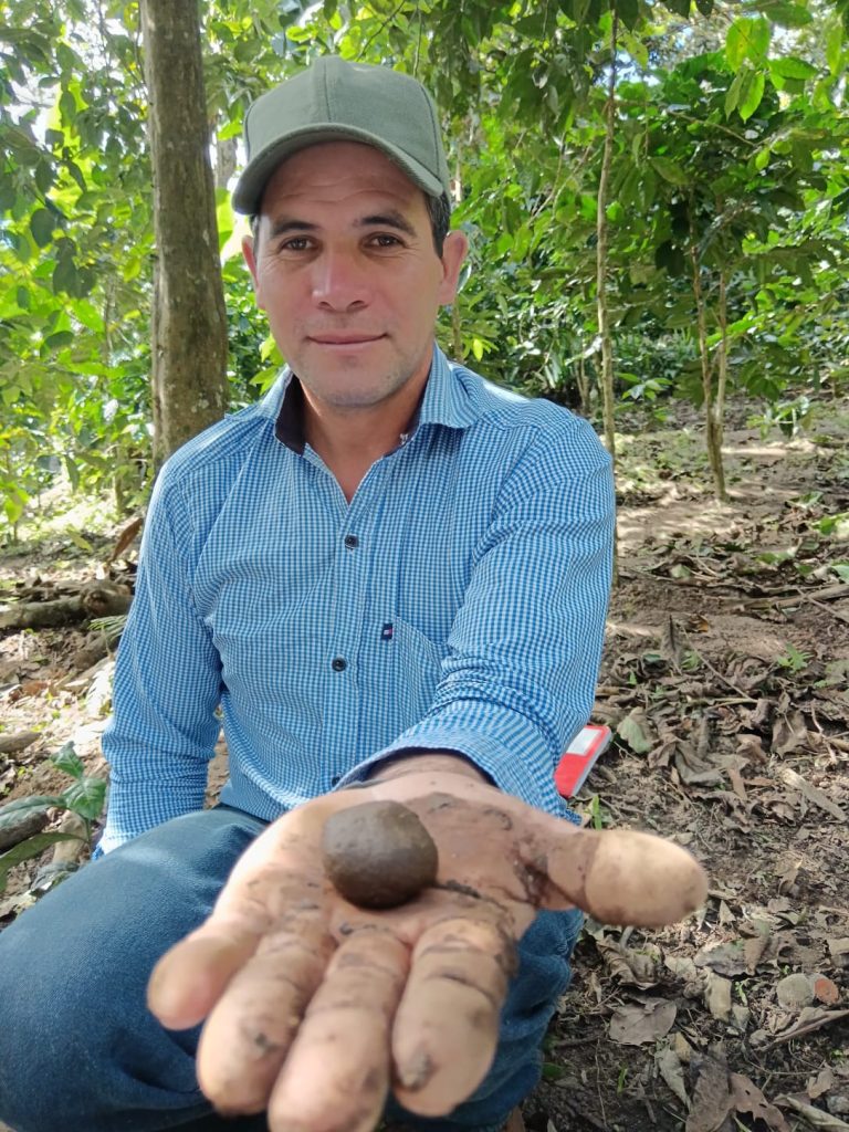 A lead farmer holds a ball of soil as he used LandPKS Soil ID mobile app to determine soil texture and other soil properties. 