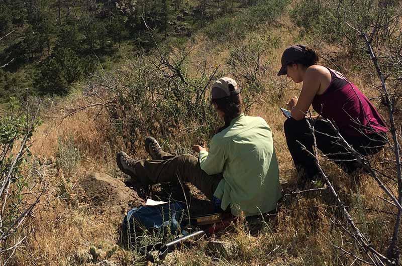 women conducting land survey in the us