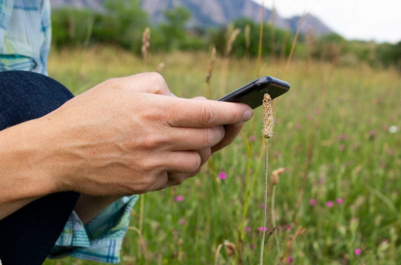 hands operating a smartphone in a field