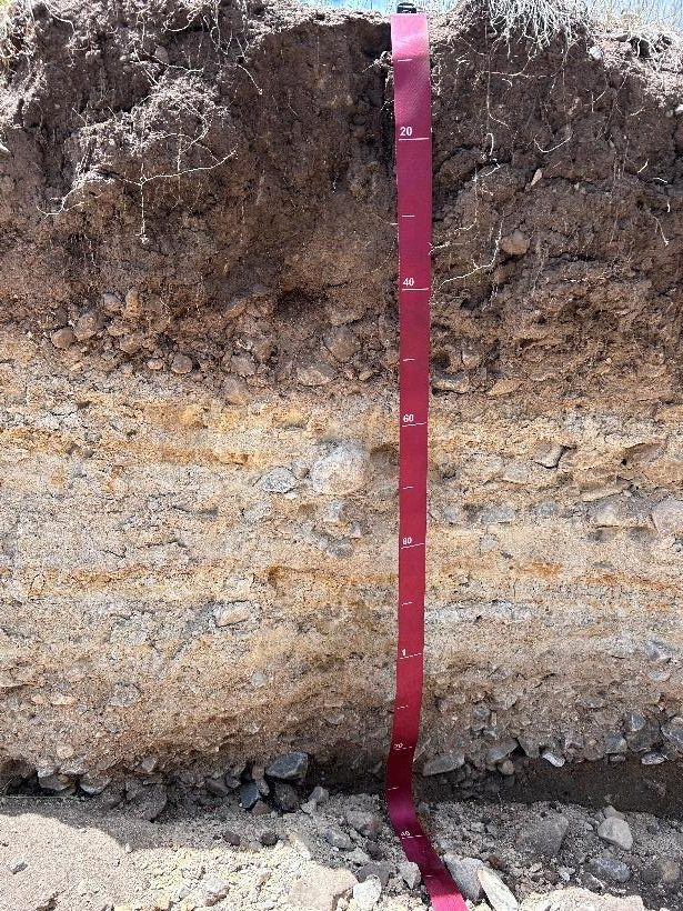 A soil pit with two clear parent materials