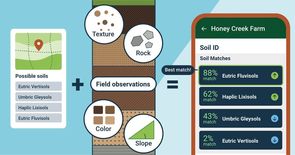 A diagram showing a flow: potential soils from a soil list plus site observations result in a ranked and ordered list of likely soils.